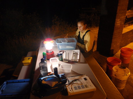 Work table for night fishing