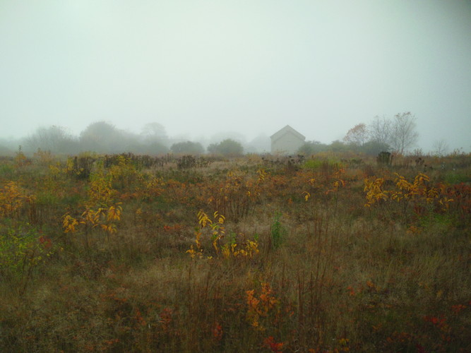 The farm