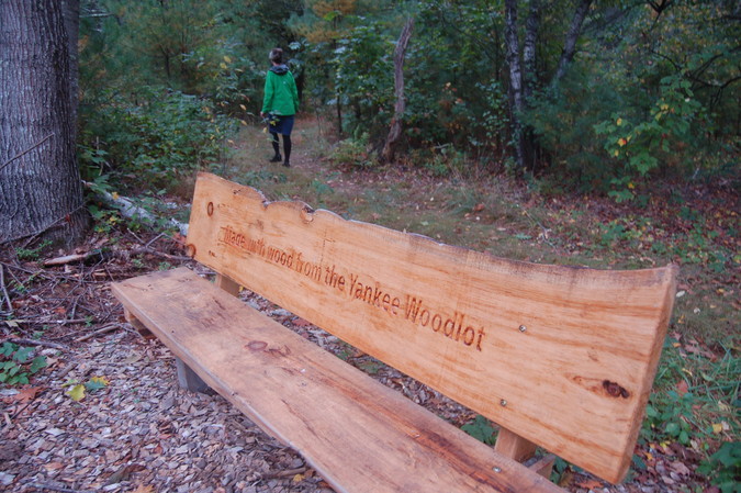 Bench