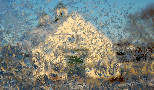 The Laudholm hay and horse barn depicted behind frosted windows.