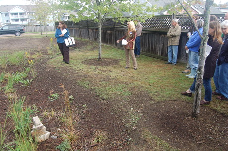 KTH Raingarden