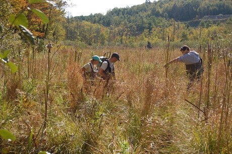 Fishing the headwaters of Shoreys Brook