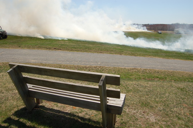 bench