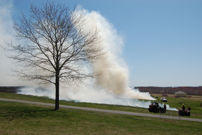 plume