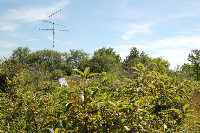 Wildlife radio tracking station at the Wells Reserve, August 2013. Photo: Scott Richardson.