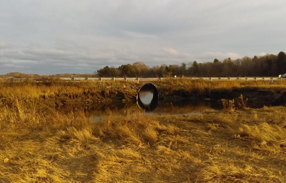 Sawyer Road at Spurwink River