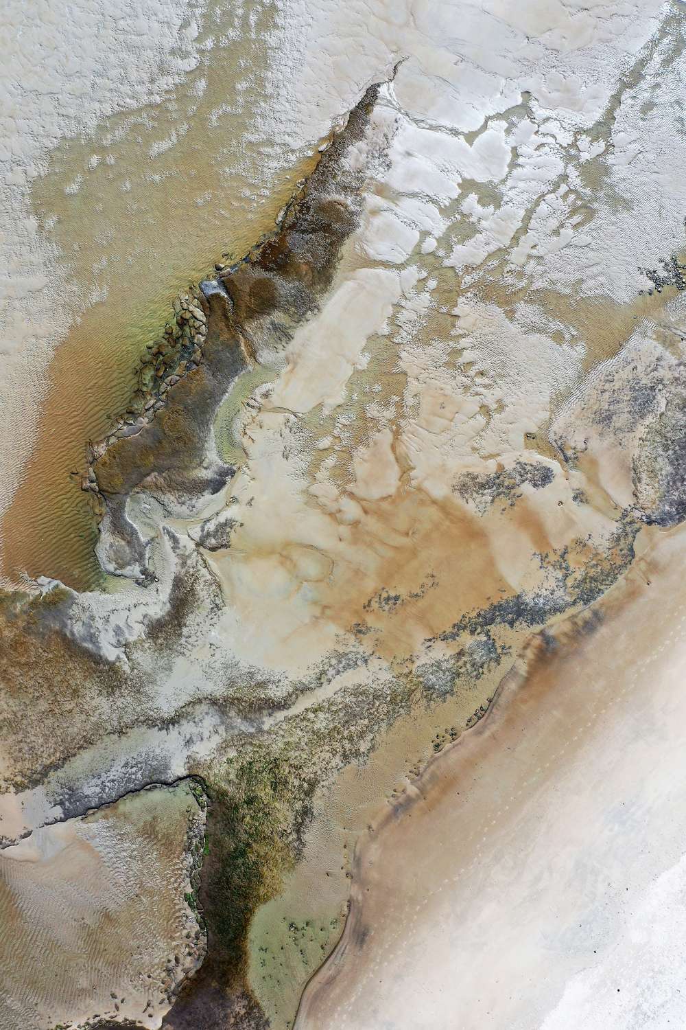 Laudholm Beach seen from above in early spring. Photo: Sue Bickford.