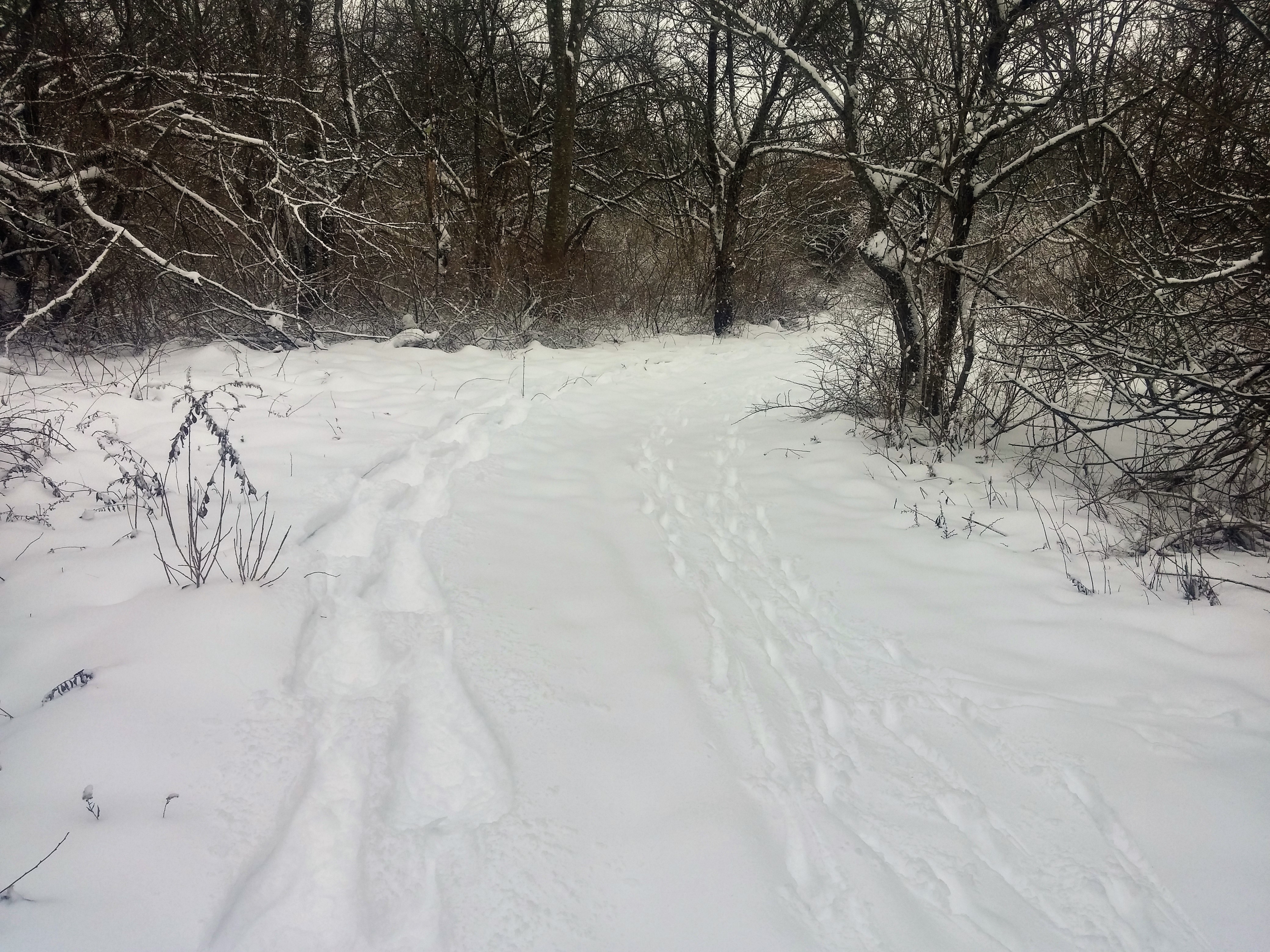 Visitors to the Reserve share the trails with those who live here! Photo by Lynne Benoit Vachon