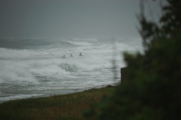 Silly surfers