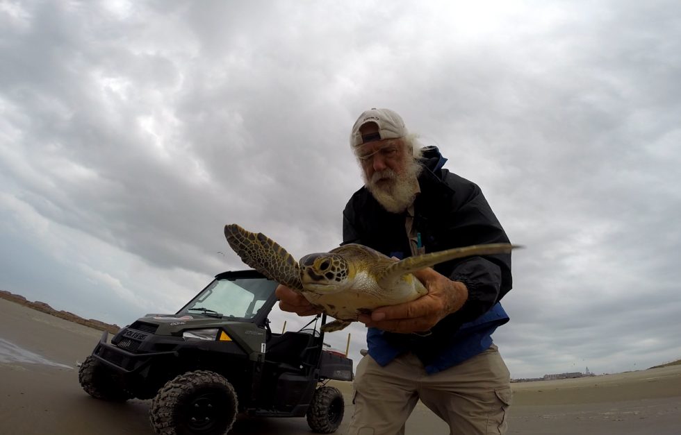 Tony Amos And Turtle