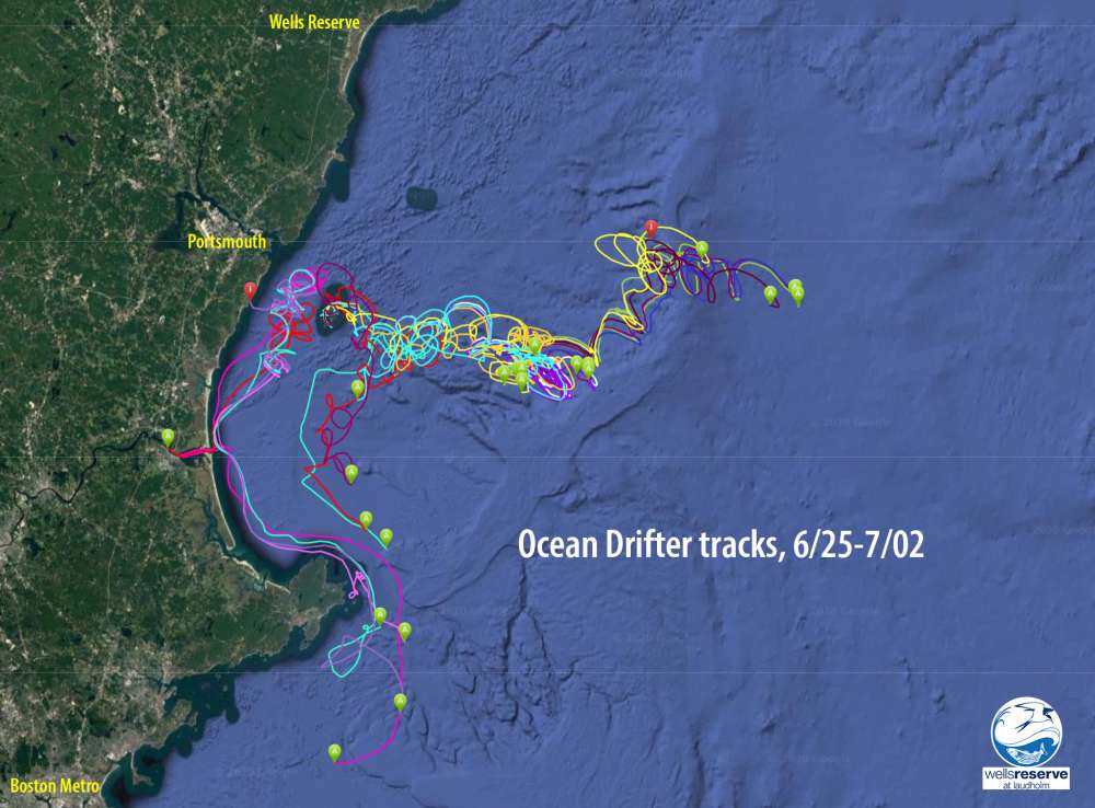 Map of coast from Boston metro to Wells Reserve showing Portsmouth launch site and ocean drifter tracks for the first week after release.