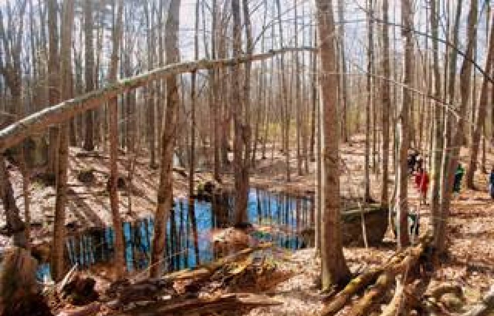 Vernalpool