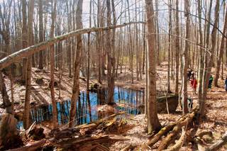 tatnic woods