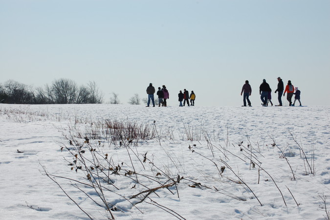 Tracking walk