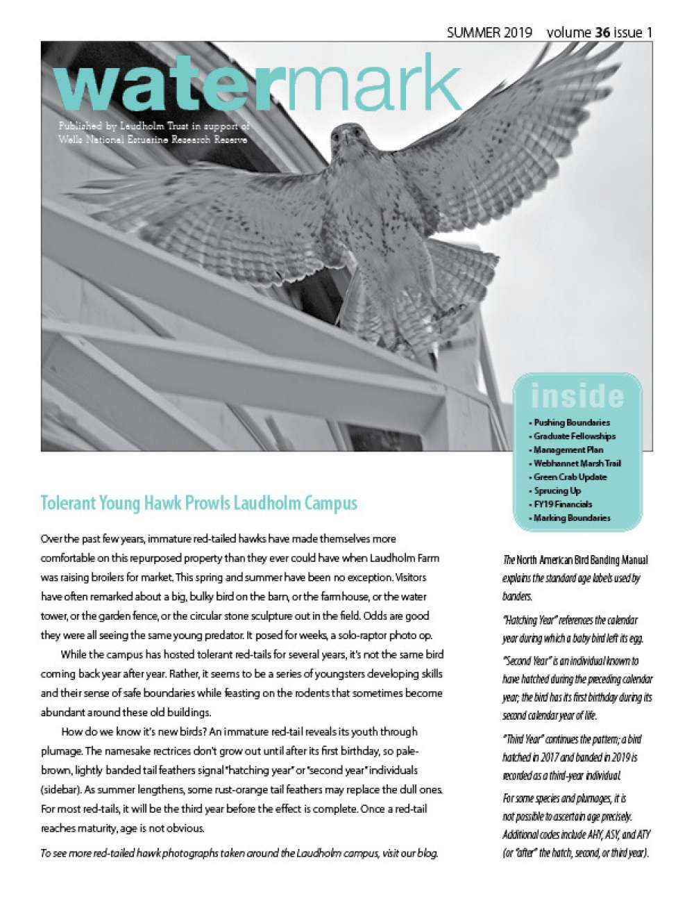 Cover of summer 2019 Watermark issue