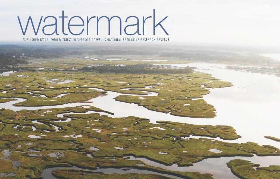 Watermark 39 1 Cover