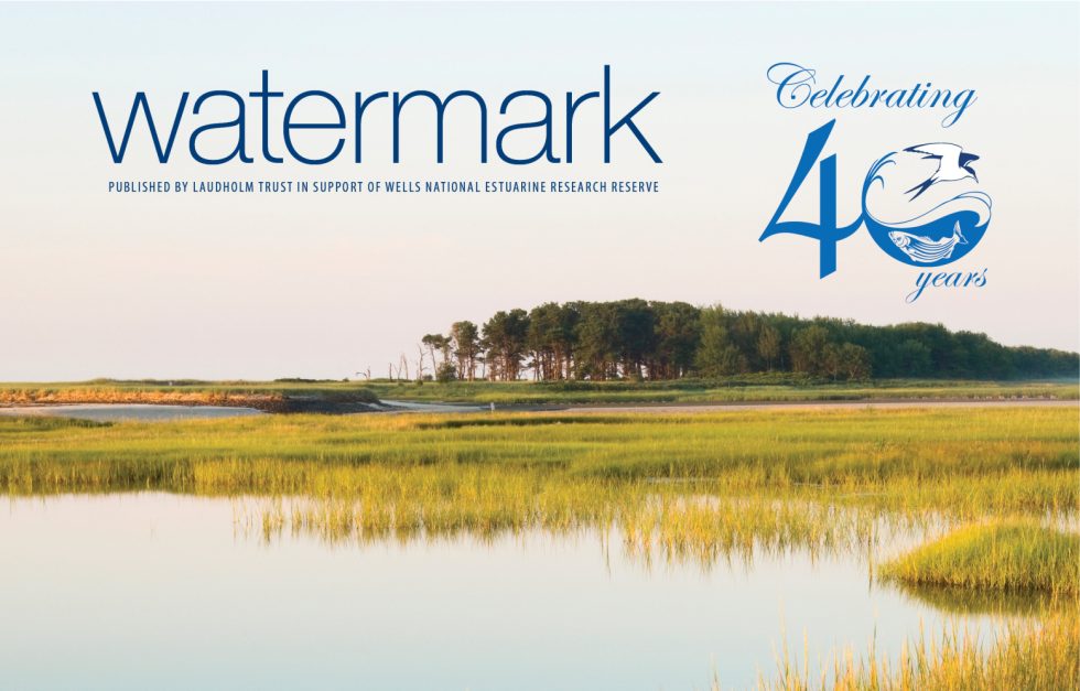 Watermark cover hi res