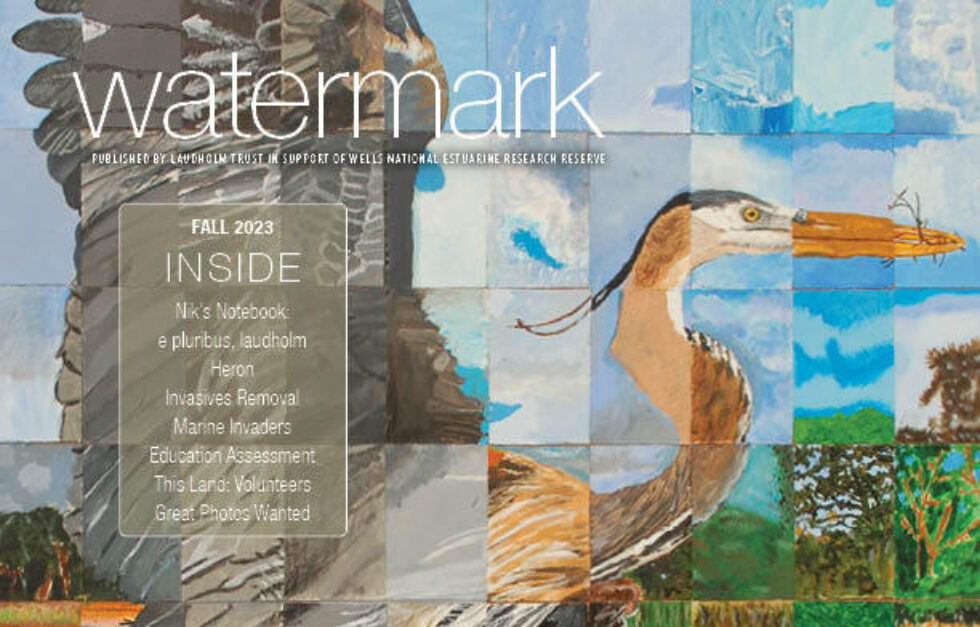 Watermark 2023 2 Cover