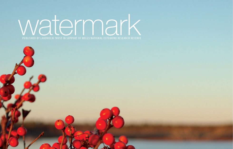 Watermark 2024 2 cover