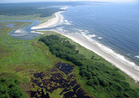 Estuary!