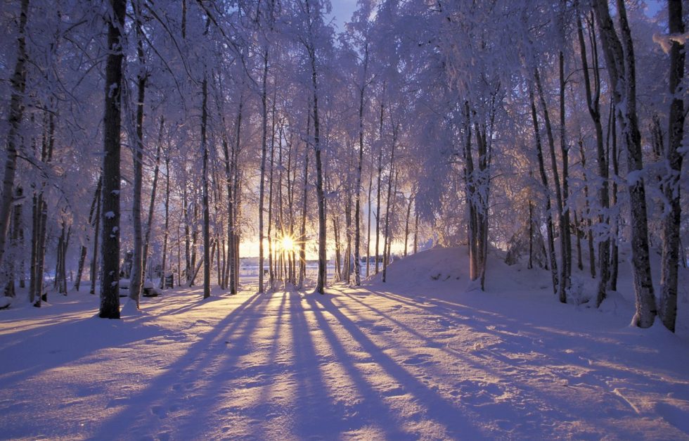 Winter Solstice