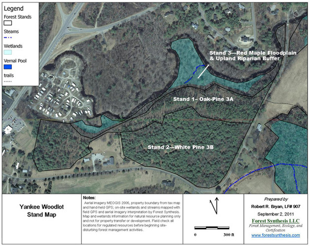 Yankee Woodlot Stand Map
