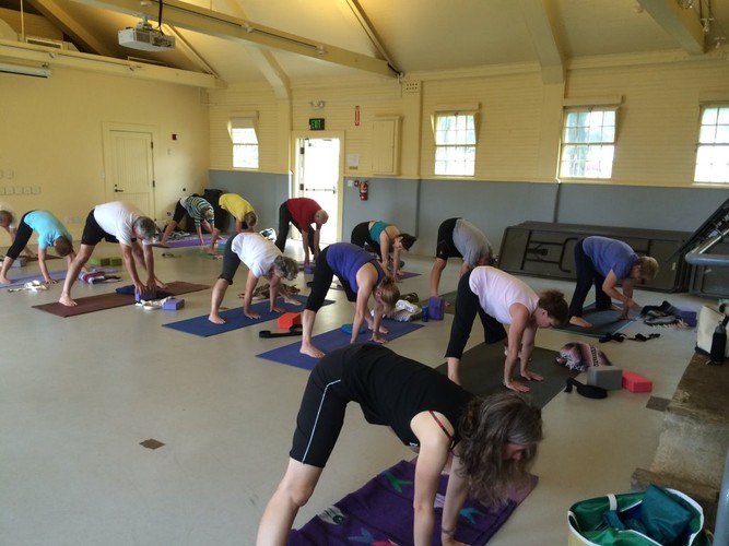 Yogis & yoginis in action Yogis & yoginis in action
