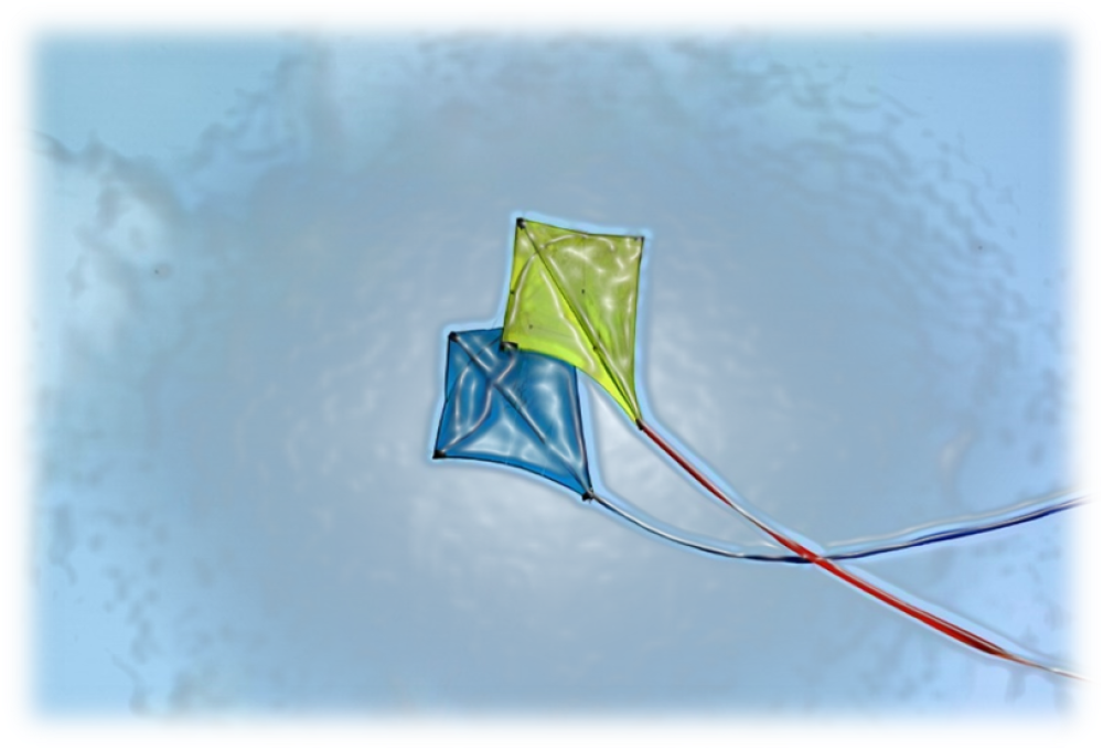 kites