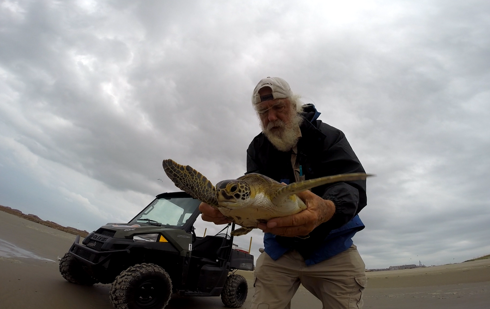 Tony Amos handles a sea turtle during a patrol on a Texas beach. Photo courtesy Mission-Aransas NERR.
